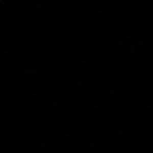 Meet your Posher, Haylielyn